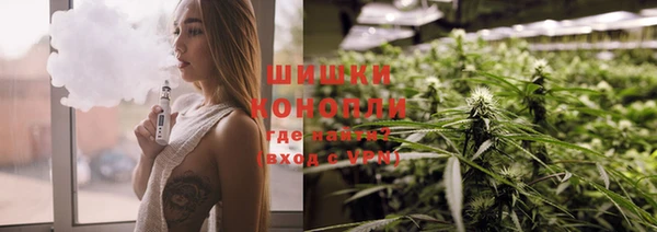 мет Инта