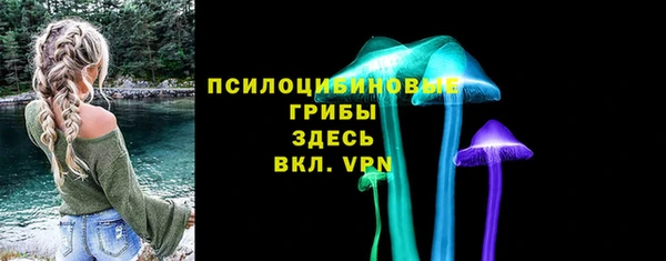 мет Инта