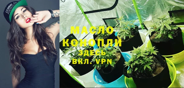 мет Инта