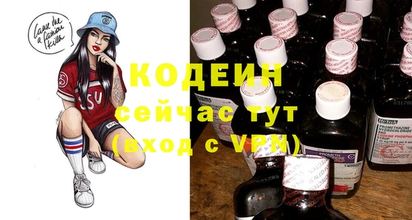мет Инта