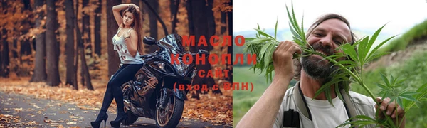 мет Инта