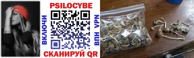 Псилоцибиновые грибы Cubensis  Карталы 